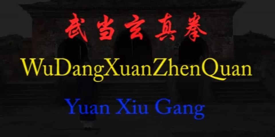 video-xuanzhenquan
